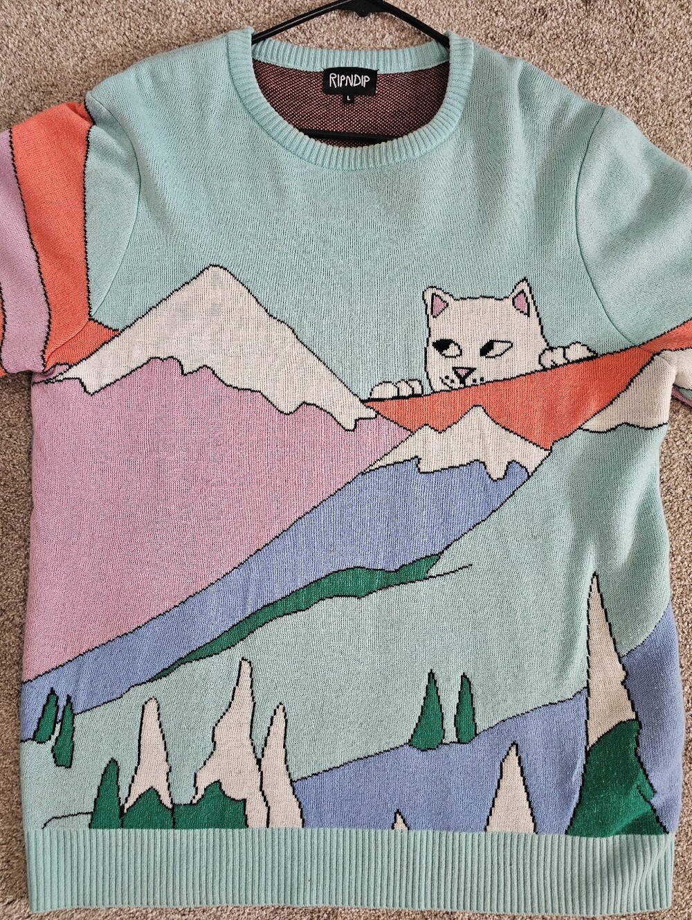 #RIPNDIP #Nermal #mountains #skater #snowboard